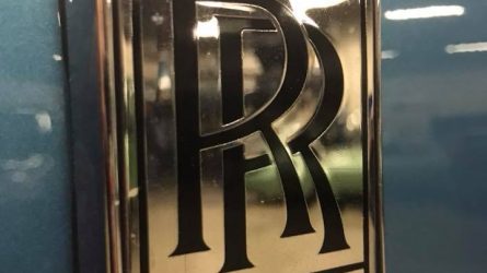 24852644_1732082760164836_223503487951160259_n